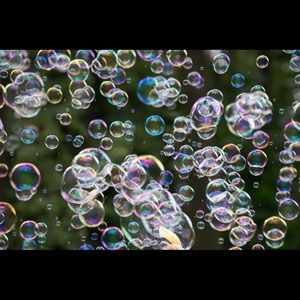 Meet your Posher, Lezlie